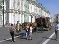 P7230091_.jpg