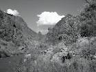 DSC01418_.jpg